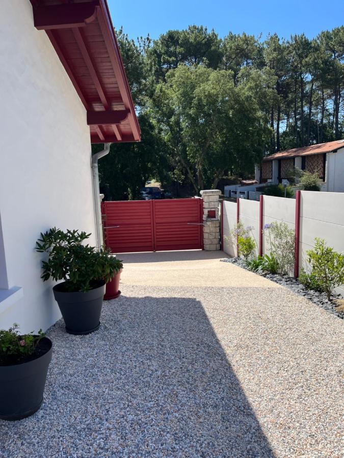 Le 7 Lejlighed Capbreton Eksteriør billede